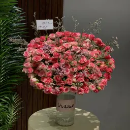 فازة بيبي روز